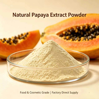 Poudre d'extrait de papaye Carica de qualité alimentaire certifiée GMP, riche en papaïne, antioxydant, matière première exfoliante pour sérum, masque, lotion corporelle