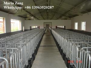 Mangiatoia automatica per suini mangiatoia in plastica per scrofe per allevamento di suini - Product Image 4