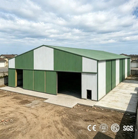 Edificio Industrial Prefabricado de Acero, Económico, con Diseño Moderno, para Almacenes y Soluciones de Almacenamiento