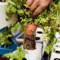 Système de jardin vertical hydroponique avec canaux NFT et pompe pour laitues et légumes, irrigation automatique, PVC durable