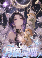 Kameng Creative Vol.3 DS Lovely Girl Metal Cards Japan Anime Waifu Collectible Cards Board Game Toys