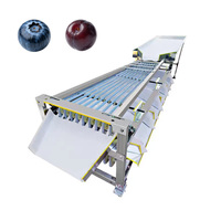 Blauwe bessen sorteermachine, fruit- en tomatensoorteringsmachine, uiensorteermachine, appel- en citrussoorteringsmachine, fruitselectiemachine