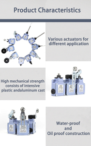 Cntd CSA-031M loại IP66 không thấm nước dọc giới hạn chuyển hướng dẫn sử dụng thiết lập lại đôi mùa xuân 10A 380V Con lăn đòn bẩy an toàn giới hạn chuyển đổi - Product Image 5