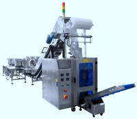 Machine d'emballage semi-automatique Focuspack en acier inoxydable pour sachets et films plastiques, avec contrôle par écran tactile