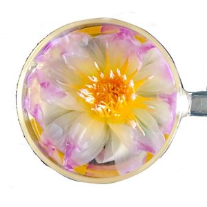 Tè all'ingrosso di fiori di loto rosa e blu egiziani, freschi e appena lavorati, confezione in bustine e tazze, gusto Nelumbo, essiccati e profumati - Product Image 5