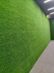 Césped Artificial de Fútbol de Alta Densidad, Resistente al Fuego, de PE+PP, con una Vida Útil de Más de 5 Años, Impermeable y Ecológico, para Gimnasios/Escuelas - Product Image 6