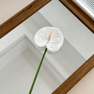 3D Printed Artificial Realistic Red Anthurium <strong>Flowers</strong> Green Plants Wedding <strong>Hall</strong> &amp; Outdoor Home Decor Wholesale Manufacturer - Product Image 6