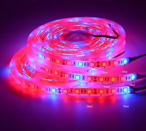 Ensemble de machine à fabriquer des bandes lumineuses étanches pour l'extérieur Kit de bandes lumineuses néon rvb silicone 5054 24v 220v LED pour voiture - Product Image 4