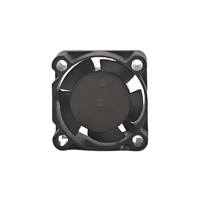 WELLSUNFAN FD02510 25x25x10mm 1 pouce DC ventilateur de refroidissement boîtier d'ordinateur CPU NVMe SSD ordinateur portable bureau DDR5 RAM-5V roulement à billes 20.9dB(A)