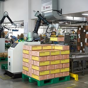 Robot Colaborativo para Paletización, Paletizador Automático de Columna Única - Product Image 4