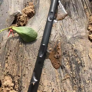 Sistema de <span class=keywords><strong>Riego</strong></span> Automático Inteligente para Jardín, <span class=keywords><strong>Kit</strong></span> de <span class=keywords><strong>Riego</strong></span> <span class=keywords><strong>por</strong></span> <span class=keywords><strong>Goteo</strong></span> con Emisores Planos - Product Image 6