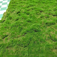Tapis en rouleau de mousse artificielle verte en peluche, grande surface, pour maquette ferroviaire, table de sable, affichage en centre commercial, décoration murale
