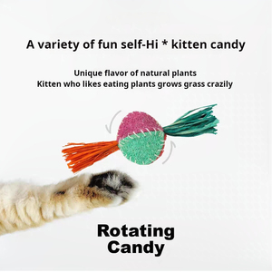 Juguete Natural de Lufa para Mascotas con Caramelo Masticable de Menta para Limpiar los Dientes y Aliviar la Congestión Nasal en Gatos - Product Image 3