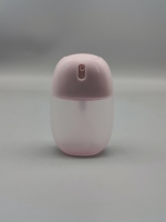 Flacon pulvérisateur miniature givré en forme d'œuf de 50 ml, vaporisateur portable à bouchon rabattable pour toner, parfum, désinfectant