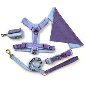 Produttore Professionale di Articoli per Animali Domestici Set Personalizzato per Passeggiata Cani - Pettorina Collare Guinzaglio Porta Sacchetti Igienici - Product Image 1
