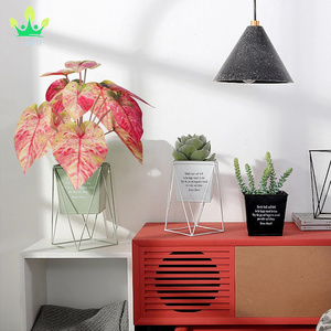 ประดิษฐ์กระถาง<span class=keywords><strong>สีชมพู</strong></span> Caladium พืชในร่มFaux Taroพืชหม้อสําหรับHome Officeโต๊ะห้องน้ําห้องนอนGreeneryตกแต่ง - Product Image 5