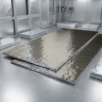 Panneau VIP en fibre de verre à isolation sous vide sur mesure pour mur de bâtiment, chaîne du froid, réfrigérateur