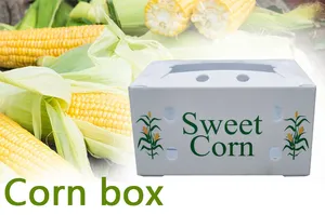Kotak Sayuran dan Buah dari Pabrik OEM Menghasilkan Kotak Jagung Manis Segar dan Kotak Brokoli