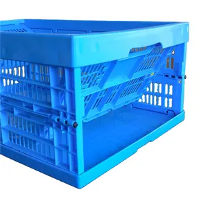 Pallet Packaging Storage Crates Plastic Foldable Stackable Collapsible Hand Fruit Vegetable Pp Folding Mesh HZL