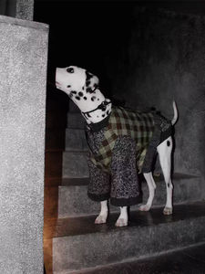 เสื้อผ้าสัตว์เลี้ยงสุดหรูสำหรับสุนัขแบบตั้งได้ผ้าฟลีซสองชั้นบุขนแกะอบอุ่นซับในเสื้อผ้าสัตว์เลี้ยงสำหรับสุนัข - Product Image 3