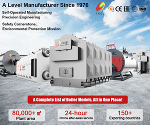 Caldeira de aquecimento da água quente da biomassa da china - Product Image 4