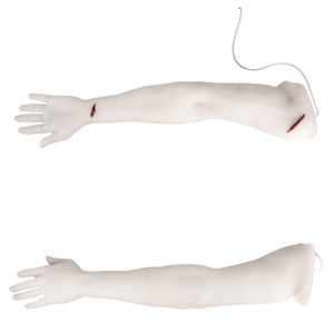 Modelo anatómico médico transparente, entrenador de brazo de Control de hemorragia con material de silicona compuesto - Product Image 1