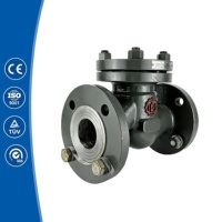 Clapet anti-retour industriel en acier au carbone à bride RF pour service vapeur, type élévateur, pour centrale électrique