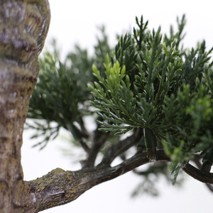 Cây Xanh Tự Nhiên Cây Nhân Tạo Nhựa Trang Trí Cây Thông Nhỏ Cây Cảnh Để Bán - Product Image 3