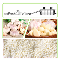 Knoflookpoeder verwerkingslijn Knoflookpoeder productiemachine Knoflookproductielijn Knoflookpoeder productielijn