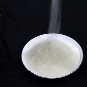 Crema Vegetale Non Lattosa all'Ingrosso, Fornitura Diretta dalla Fabbrica, Contenuto di Grassi Personalizzabile per Caffè, Tè, Prodotti da Forno, Sacchetto da 25kg, Marca HFBIO - Product Image 3