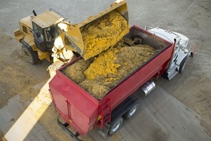 Nueva Mezcladora de Alimentos TMR Montada en Camión, Legal para Carretera, con Motor Diésel de Marca, 10 Ton/H, Bajo Consumo de Combustible, Trituración y Mezcla Integradas, Pequeña - Product Image 5