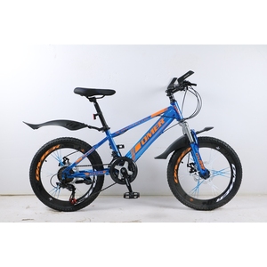 Bicicleta de Montaña Económica de 20/24'' con Llanta de Aleación de Aluminio y Ruedas de Rayos para Niños Principiantes en Varios Colores - Product Image 1