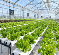 Bac de plantation en plastique pour serre agricole, très demandé