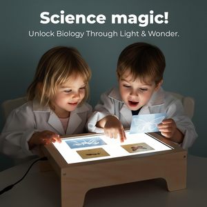 Table lumineuse en bois pour enfants, boîte à lumière pour peinture au sable avec 10 niveaux de gradation <span class=keywords><strong>et</strong></span> plus de 50 pièces, table d'apprentissage sensoriel alimentée par USB - Product Image 1