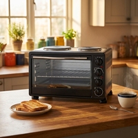 Four électrique domestique haute durabilité pour la cuisson du pain, des pizzas et du poulet, avec 2 plaques chauffantes