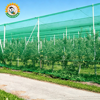 Filet anti-oiseaux pour vignoble et jardin, en HDPE, résistant aux UV, pour la protection des vignes et des cultures agricoles