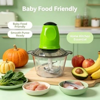 Mini robot culinaire électrique domestique, hachoir à aliments avec bol transparent pour couper la viande, l'ail et les légumes