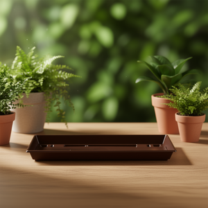 Platos para macetas GELI, tamaño estándar, paquete de 10, para usar con bandejas de macetas - Product Image 3