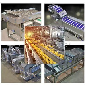 Máquina de Envasado en Línea para Frutas y Verduras Congeladas, para Producción de Guisantes Congelados, Acero Inoxidable 304, Automática, Capacidad de 300 kg/h - Product Image 6