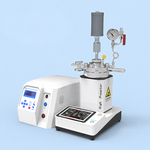 Réacteur de type spécial HT-CSB <span class=keywords><strong>à</strong></span> haute pression 12,5 MPa en alliage de nickel Inco avec manomètre et disque de <span class=keywords><strong>rupture</strong></span> - Product Image 2