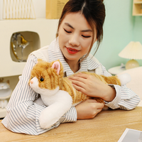 Jouets en peluche personnalisés OEM/ODM, chaton réaliste, mignon et doux, dessin animé, vente chaude