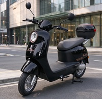 Moto électrique avec batterie au lithium ou au plomb-acide 20Ah 32Ah, moteur à moyeu en cuivre pur 1000W~2000W, vitesse 60-70km/h, pour trajets quotidiens des adultes
