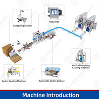 Machine d'emballage verticale automatique pour fruits secs, châtaignes, noisettes, pistaches, arachides, noix, oreiller, boîte en carton