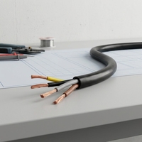 Câble flexible multiconducteur RVV à conducteur en cuivre, gaine en PVC, alimentation basse tension, équipement électrique de bâtiment IP40