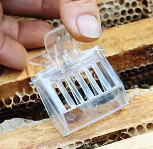 1 adet kraliçe Catcher klip, şeffaf plastik kraliçe kafes tuzak kutu, arıcılar için ucuz arıcılık aracı - Product Image 2