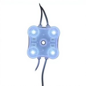 Module LED 1W DC 12V Blanc Froid 6000K IP20 Durée de vie 50000 heures pour enseignes, lettres lumineuses, caissons lumineux, utilisation extérieure - Product Image 1