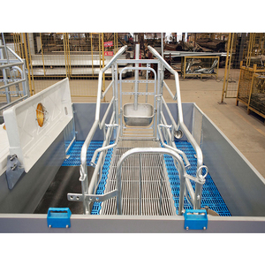 Vente d'usine en Chine d'équipements de mise bas pour porcs, cages de mise bas pour porcs - Product Image 6