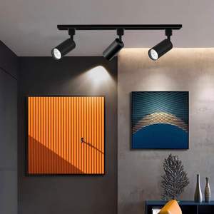 Lampe Spot Led 220v Plafond Rail Spot Réglable Éclairage Focus 360 Haute Qualité 30w Fournisseur Commercial Track Light - Product Image 2