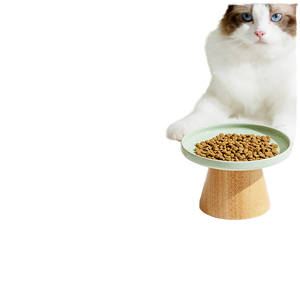 Bol <span class=keywords><strong>pour</strong></span> animaux de compagnie en céramique et bois, élégant, surélevé, incliné, antidérapant, imperméable, avec support en bois, <span class=keywords><strong>pour</strong></span> <span class=keywords><strong>chat</strong></span> et chien - Product Image 1