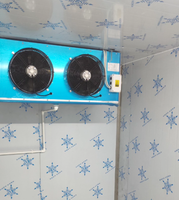 Chambre froide Binlix Walk-in à congélateur profond, refroidissement par ventilateur, température unique, dégivrage automatique, système de stockage de haute qualité, 1 porte supérieure